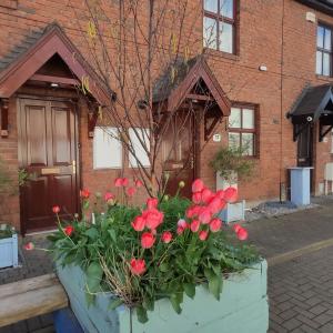 Liberty Townhouses