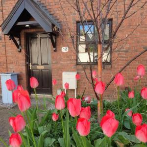 Liberty Townhouses