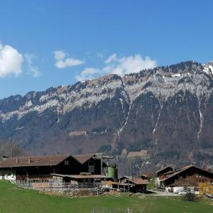 Brunners harzerhof