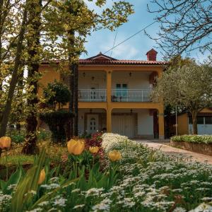 Apartment Villa Olga