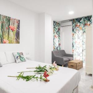 Guesthouse Room & Studio Seville La Flamenka
