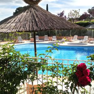 Brit Hotel Confort Hélios Agde