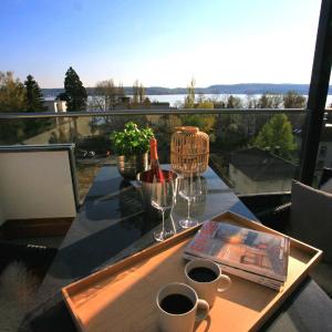 Überlinger See-Apartments Penthouse Über-See