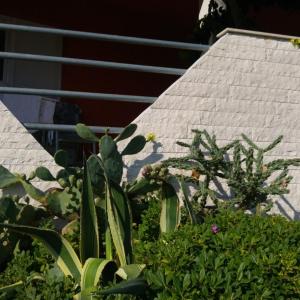 Apartment in Kali with Seaview, Terrace, Air condition, WIFI (4672-1)