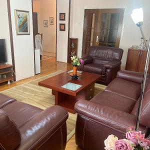 Family Apartment Ivanovic