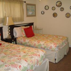 Coastal Nest BH207