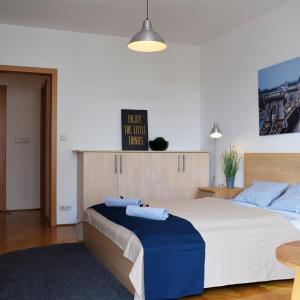 Cosy Apartment In Budapest Downtown WITH Free Garage Parking