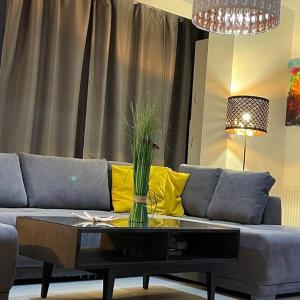 Apartment Happiness by Nicole Jutka, visual artist Olimp