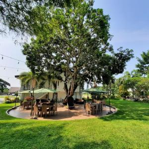 Estancia De Lorenzo Tarlac