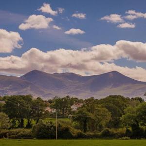 Rookery Mews Apartments - Killarney Self Catering