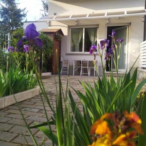 BHH BOLOGNA HOLIDAY HOME private Garden Reserved Parking -wwwbolognaholidayhomecom- house garden parking