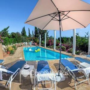 Wonderful quiet area, Completely Privacy, Large Private Pool, Colourful Garden