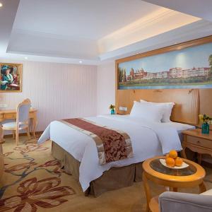 Vienna International Hotel Guangdong Foshan Shunde Ronggui