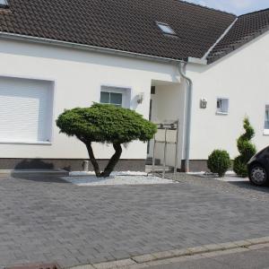 Zimmer David