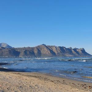 Tranquil Impulse on Strand