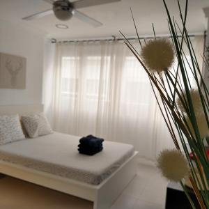 Central Estudio Torremolinos - Estudio 3