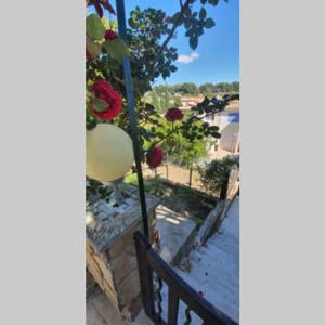 studio entre vallée colline et soleil marseillais