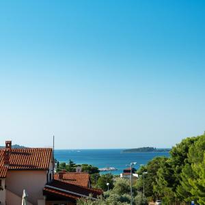 Apartments Irena with sea view