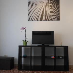 Romolo House