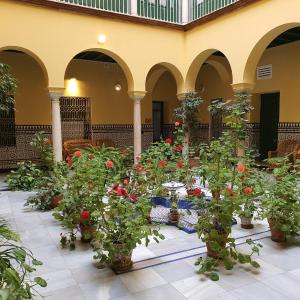 Apartamento Centro Historico solo office