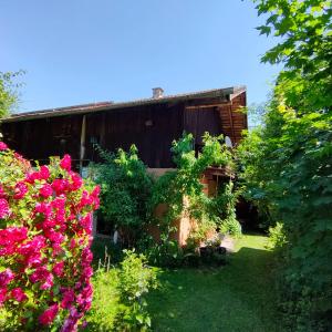 Gemütliche Ferienwohnung mit Kamin und Garten