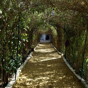 Sukha's Place
