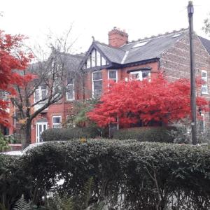 Bird Song Guest House Old Trafford