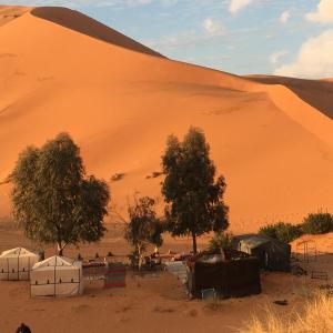Nomad Desert House