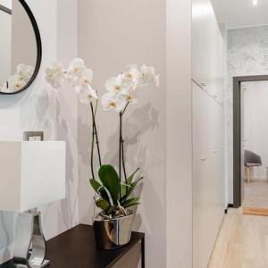 MK - Apartment Soderini