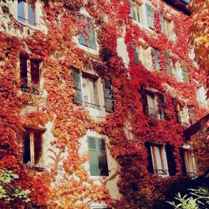 Appart'Hôtel Residence Dizerens