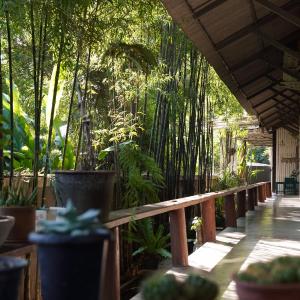 Wanmai House