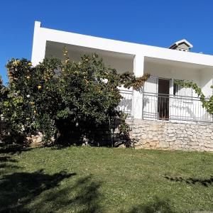 Apartment Zivkovic