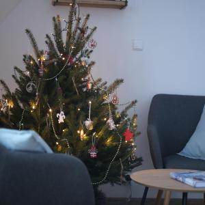 Apartamenty widokowe Zakopane