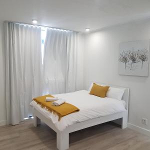 1 on albert Studio Apartments