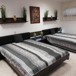 Budapest Wigwam 140 m2
