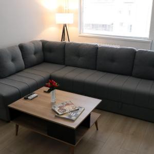 Spacious modern apartment Kisela Voda