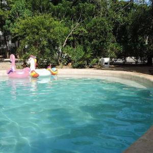 Departamento residencial con alberca Cancún