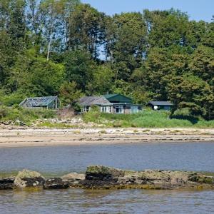 Shore Cottage
