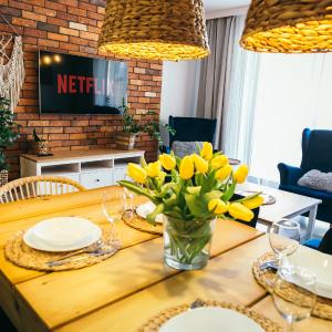 Apartament Przytulny Stone Hill BASEN CENTRUM
