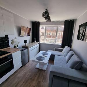 Apartament Słowik Rowy nr 7