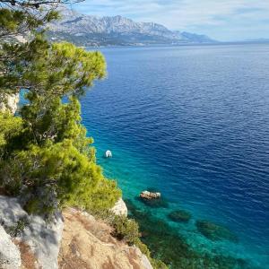 The Heart of Split