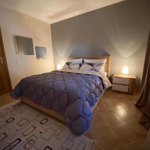 Lucas Apartment 2