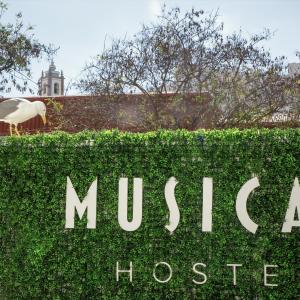 Musical Hostel