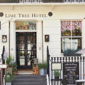 Room Mate Lime Tree