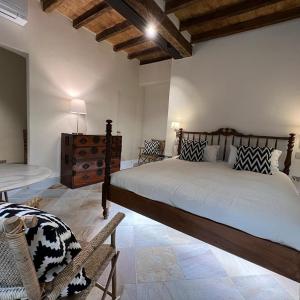 Palazzo Balbo di Vinadio Apartments