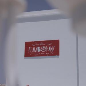 Apartamentos Flamboyant Adults Only