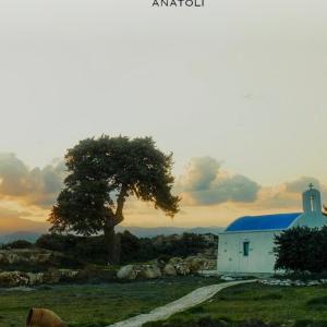 Anatoli
