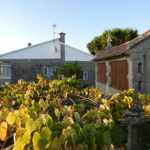 Casa rural Don Armando