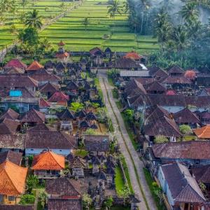 Rural Atmosphere at Bali Coconut House in Delodsema Village