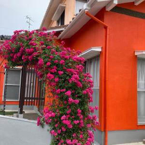 SIBARIAN Guest House
